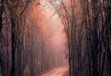 开云体育在线-韩国举重选手力压千钧重，见证不屈精神与卓越技艺