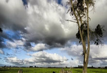 开云体育app-袖珍公国震足坛！安道尔玫瑰逆风绽放首战告捷