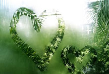 开云体育在线-韩国举重选手力压千钧重，见证不屈精神与卓越技艺