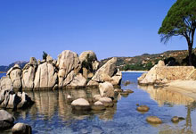 开云平台-阿尔希拉尔全力备战世俱杯，冲击冠军信心十足