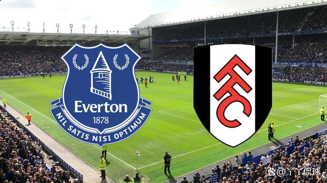 开云体育平台APP-关于埃弗顿不敌谢菲联，英超保级压力山大的信息