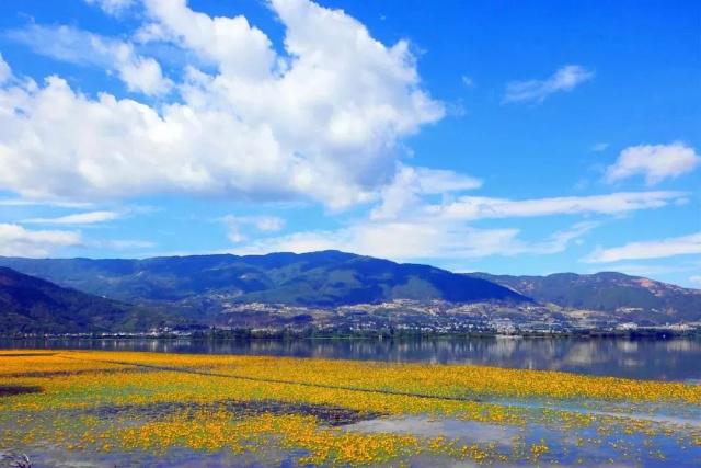 再devil黃態时發美旅游一，说日夏的简单介绍