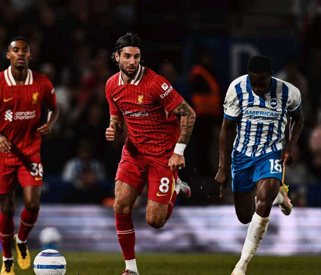 包含布莱顿客场惨败利物浦，保级前景堪忧的词条