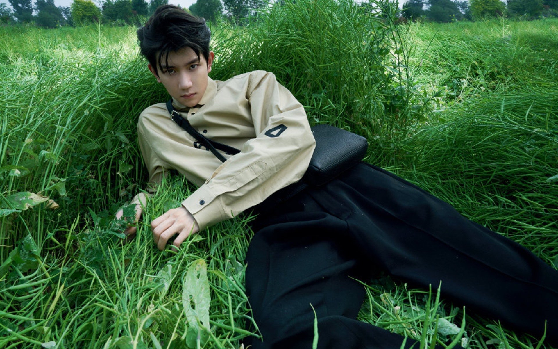 德甲争冠焦点战,黄蜂粉碎太阳,霸权易主?