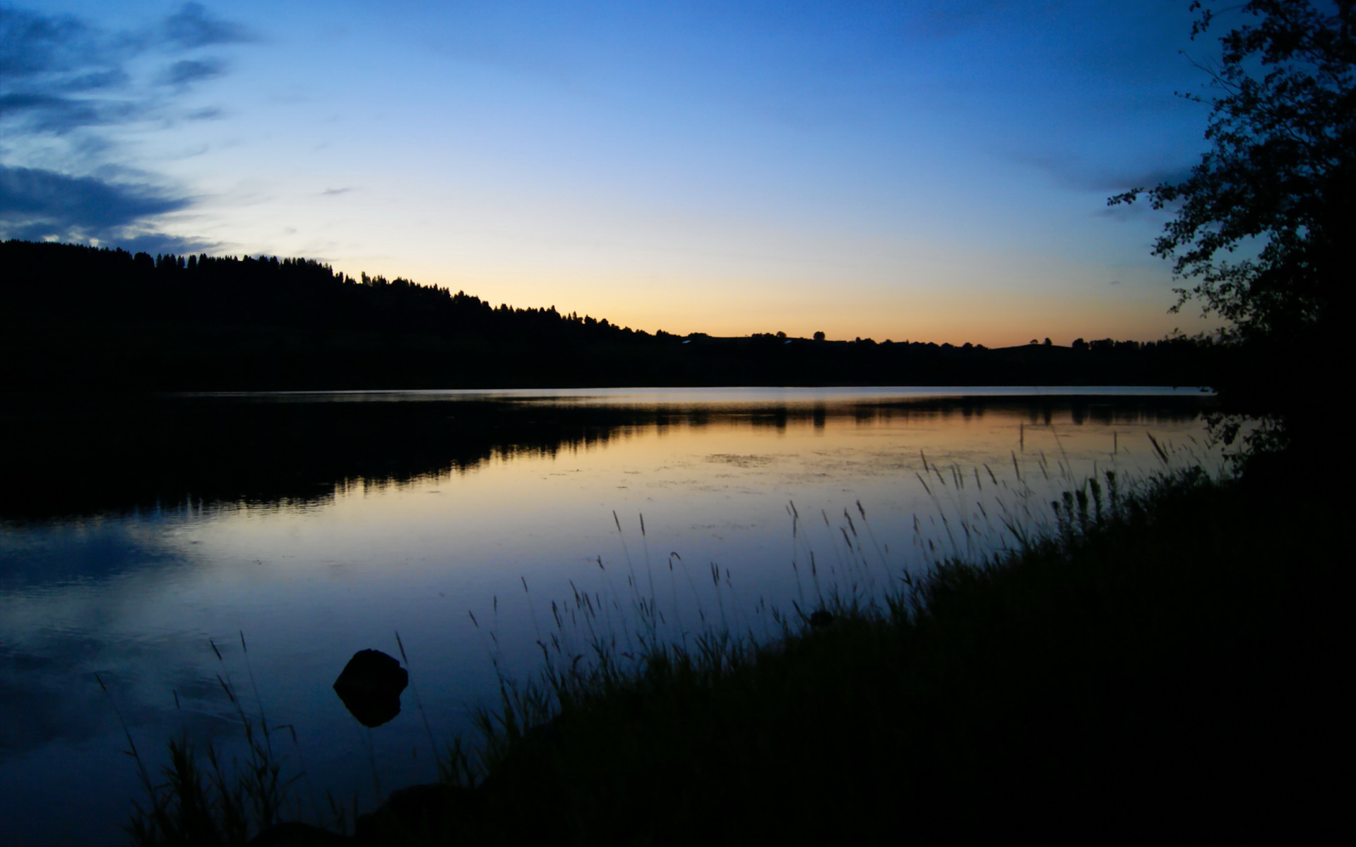 绿茵双城记，克瓦拉爆发点亮格鲁吉亚，喀麦隆绝境突围撼动瑞典