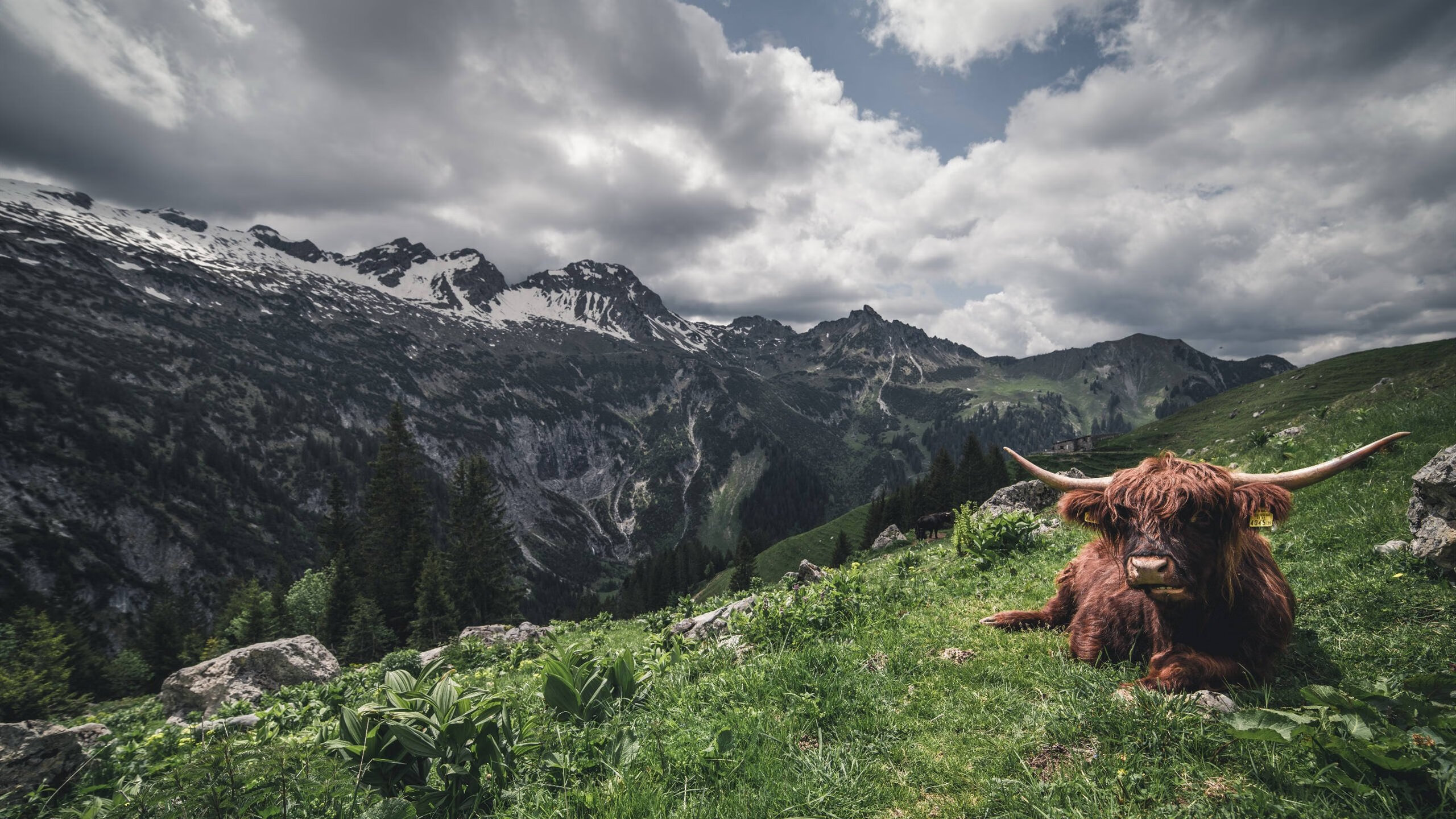 开云APP-黄喜灿导演逆转大戏，友谊赛见证亚洲巨星掌控曼联对决