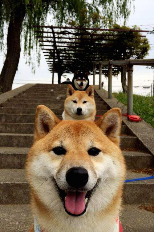 欧冠烽火，切尔西破德甲坚冰，莱万一剑封喉显杀手本色