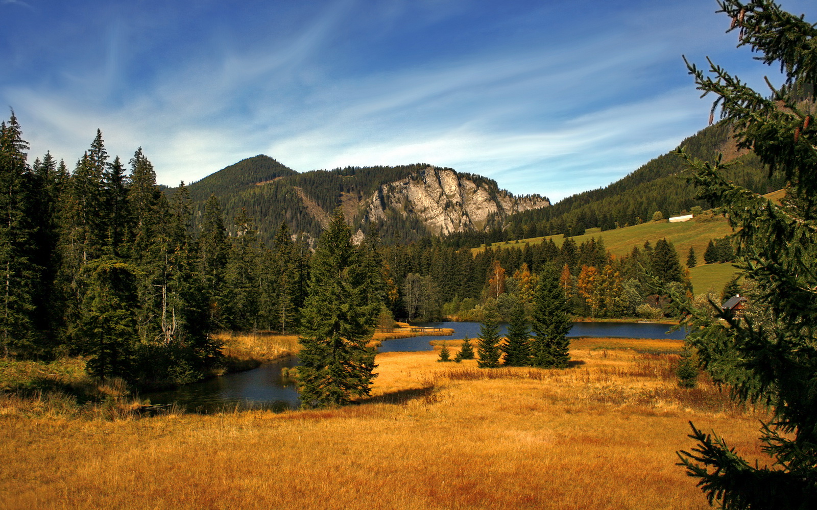 锡安28分统治禁区,独行侠单节轰垮山西锁胜局