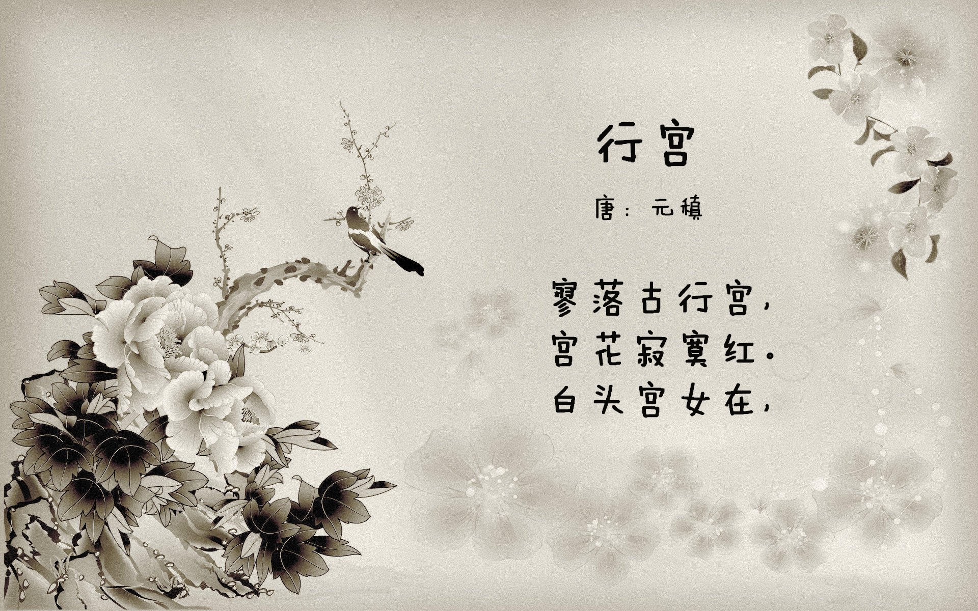 F1新赛季揭幕战之夜，孔德赛后评分拉满，展露新一代王者的锋芒