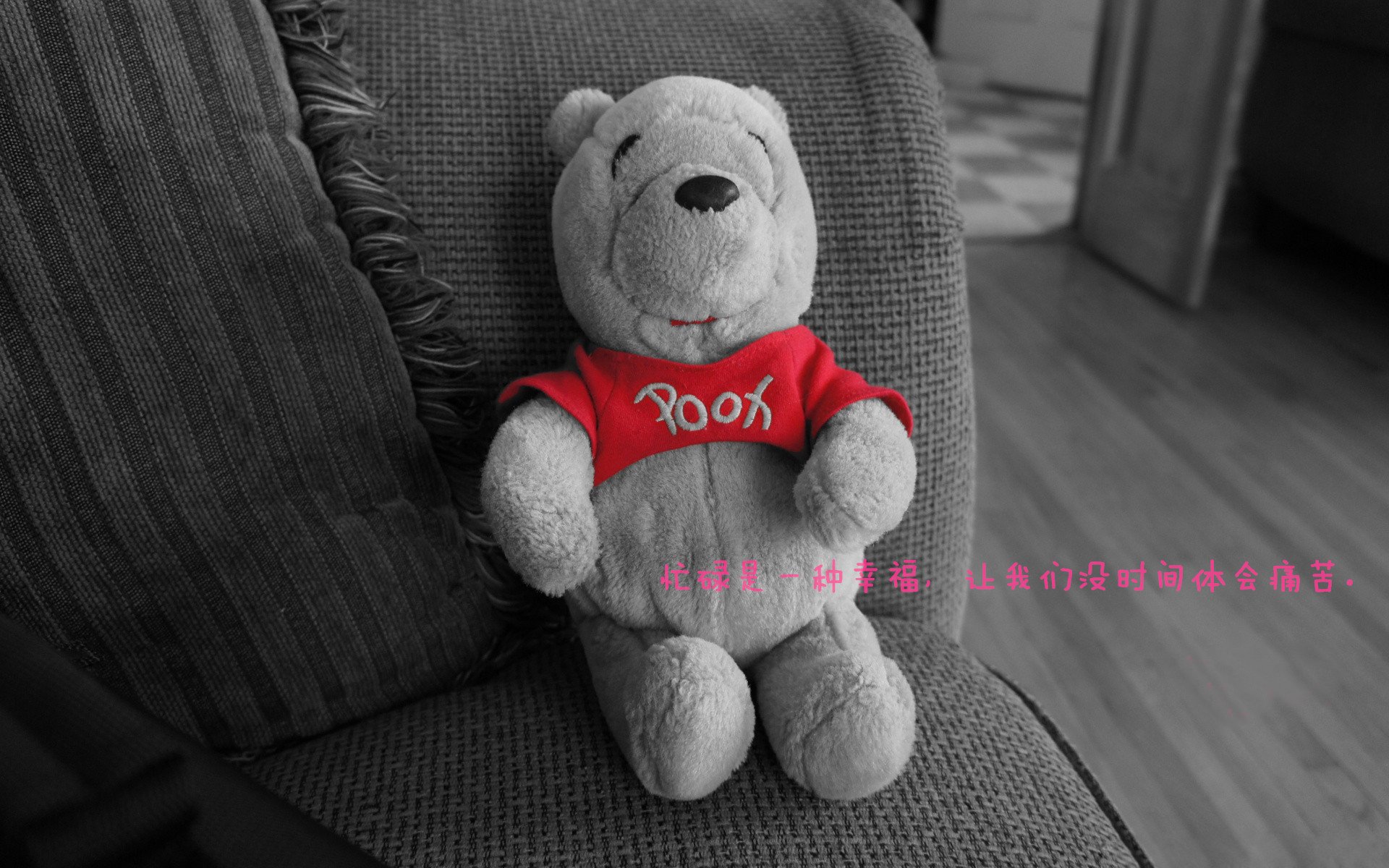 老鹰猎食法则,欧冠半决赛的空中霸权如何撕碎森林狼的钢铁防线