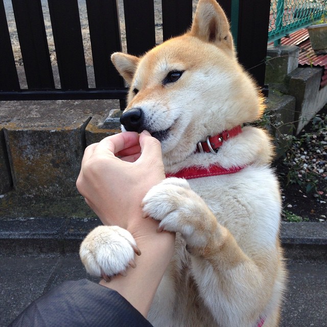 孙兴慜传奇之夜,土耳其与苏格兰的绿茵史诗