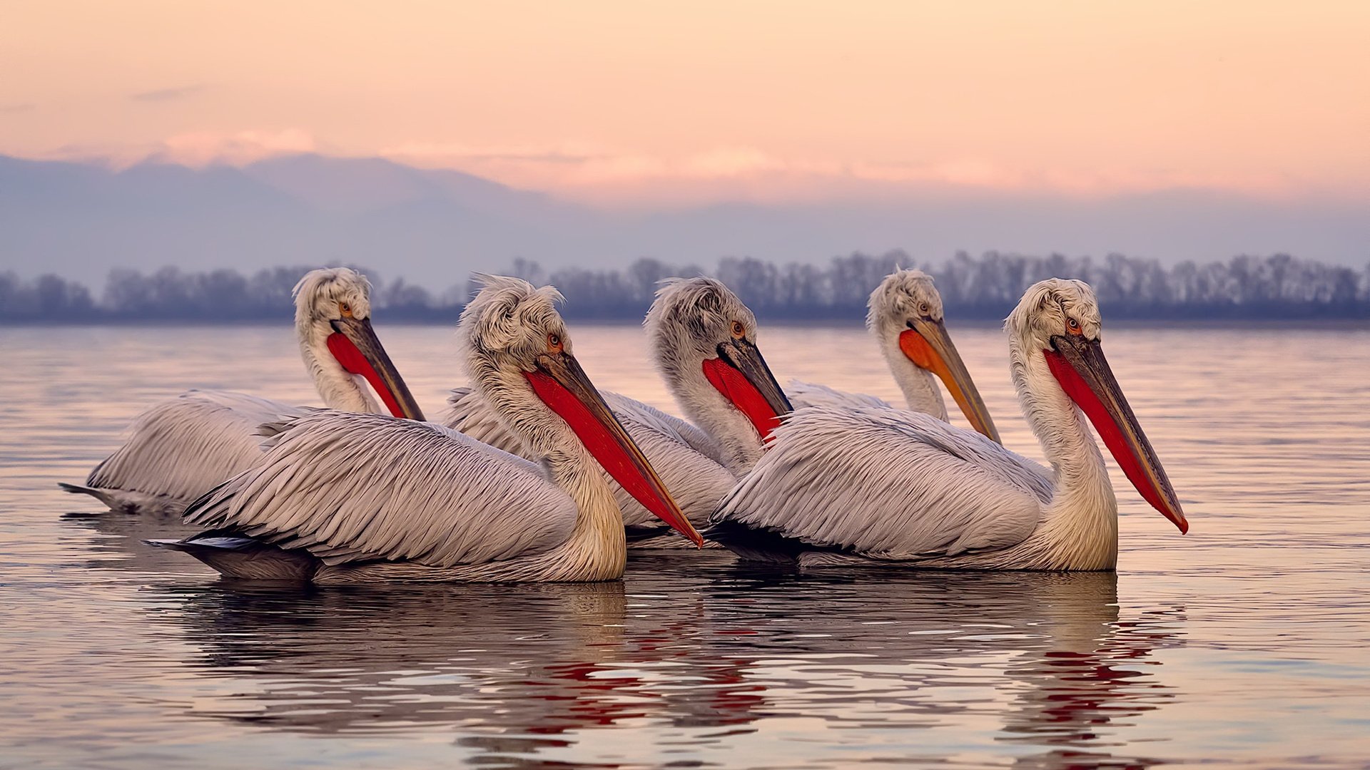 浴火之战!莫兰特教科书级表现引领勇士硬仗取胜山西