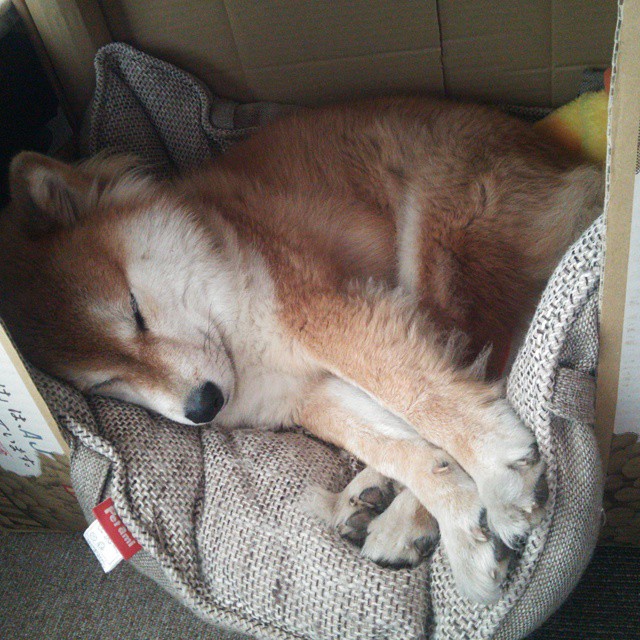 开云体育app-巅峰对决！雷恩力克挪威，卡拉斯科状态火热定乾坤