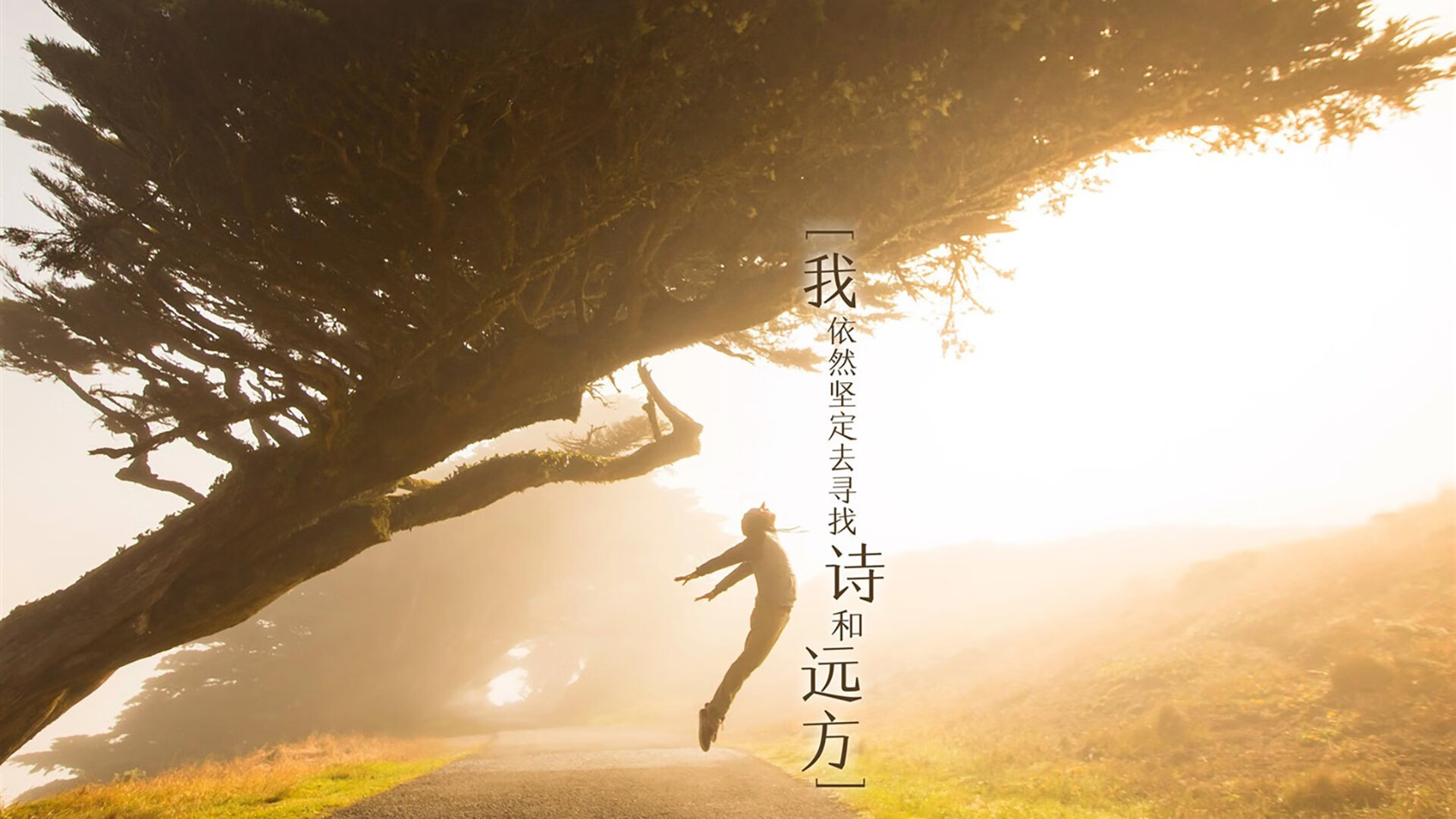 生死棋盘上的孤胆与王冠，当东契奇执棋破局，英格拉姆挥剑定鼎