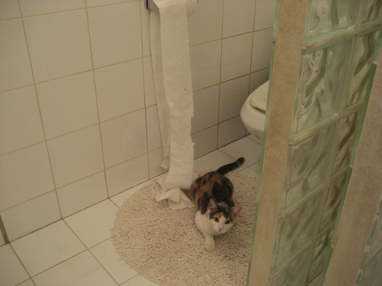 终结的艺术，从拜仁到东决，关键战中的强行密码