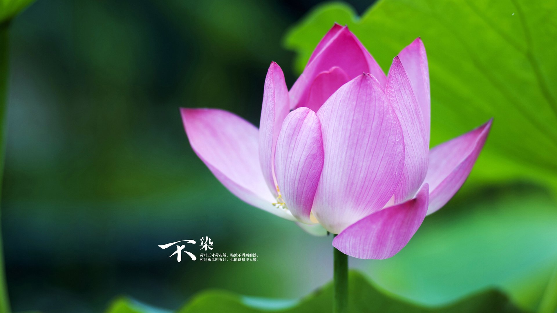 开云体育-欧冠决赛之夜，德罗赞攻防两端的绝对统治