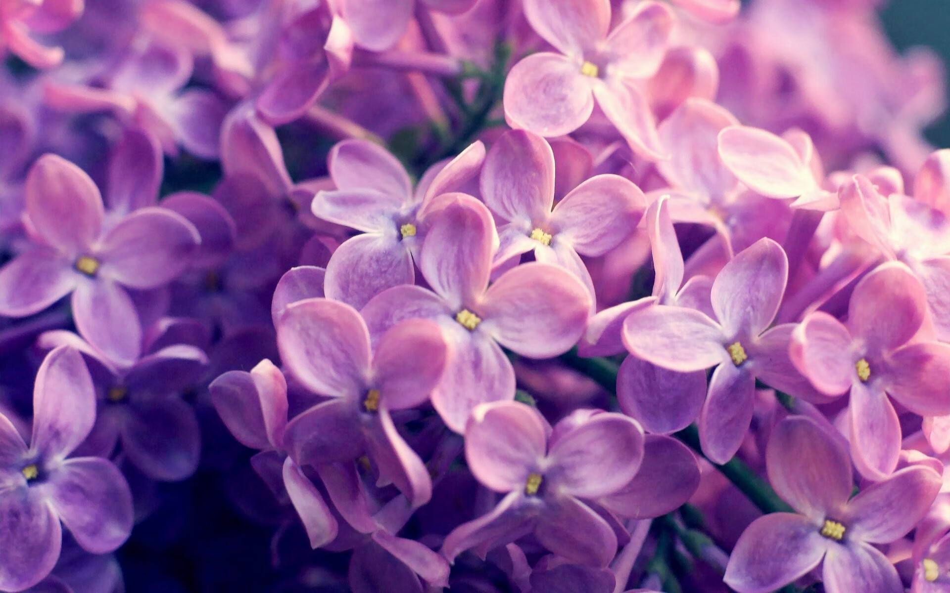 贝恩独揽31分主导比赛,凯尔特人轻取浙江队展现实力差距