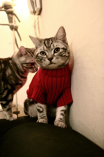 窒息式掌控,约基奇高位为轴,掘金抢七战彻底解剖魔术