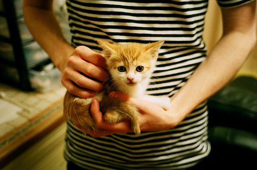 开云体育平台APP-阿克一球定江山，德甲争冠夜见证巨星诞生